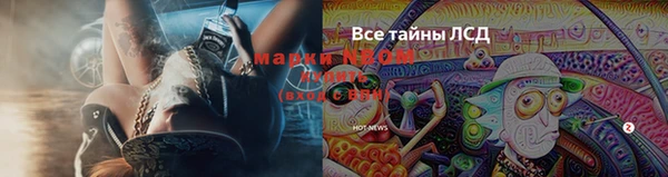 прущие грибы Кулебаки