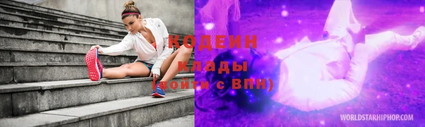 соль ск Ладушкин