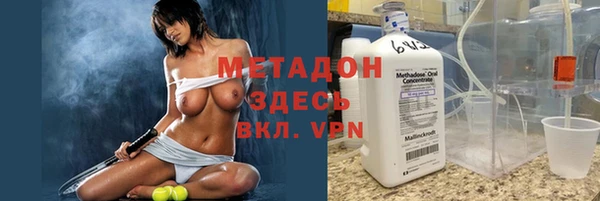 прущие грибы Кулебаки