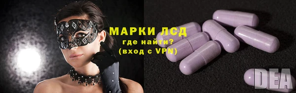 прущие грибы Кулебаки