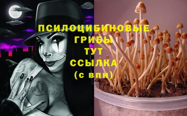 бошки Касимов
