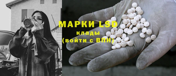 прущие грибы Кулебаки