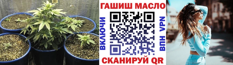 где купить   Терек  Дистиллят ТГК Wax 