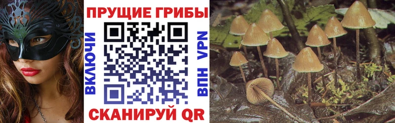 Псилоцибиновые грибы ЛСД  Терек 